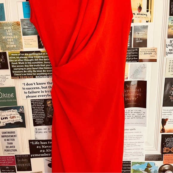 Zara Limited Edition x Narciso Rodriguez Rushed Midi Dress - Picture 5 of 12